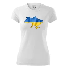 Ukrajina vlajka mapa