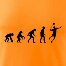 Evoluce Badminton