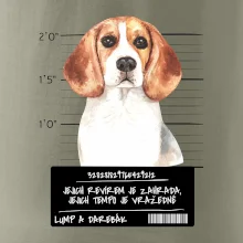 Lump a darebák bígl