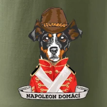 Napoleon domácí pes kříženec