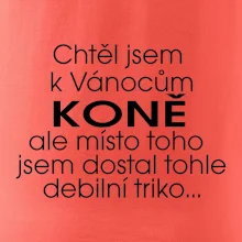 Chtěl jsem dostat k Vánocům koně