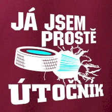 Já jsem prostě útočník (hokej)