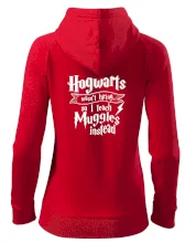 Harry - Hogwarts wasn’t hiring, so I teach Muggles instead