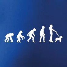 Lagotto romagnolo Evoluce