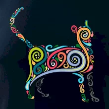 Kočka barevné křivky