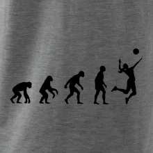 Evoluce volejbal culík