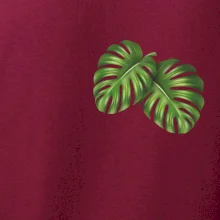 Monstera listy na prsu