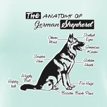 Německý ovčák - Anatomie