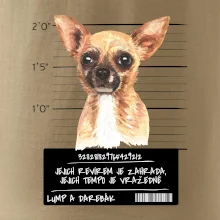 Lump a darebák čivava