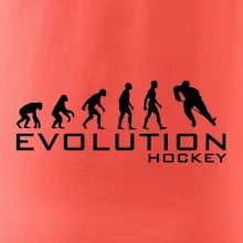 Evoluce Hockey - hráč