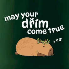 May your dřím come true
