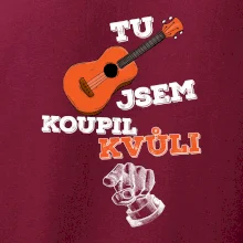 Když koupíš kytaru