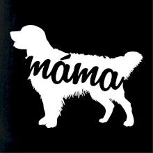 Zlatý retrívr máma obrys