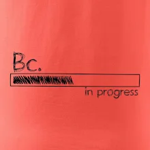 In progress  titul Bc. bakalář / bakalářka