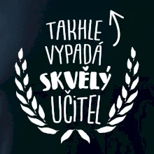 Takhle vypadá skvělý učitel