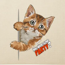 Řekl někdo slovo party