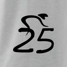 Cyklista slaví pětadvacítku (25)