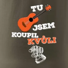 Tu kytaru jsem koupil kvůli tobě