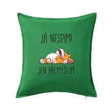 Já nespím, jen přemýšlím