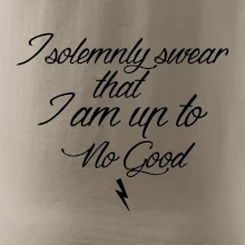 I solemnly swear that I'm up to no good