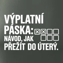 VÝPLATNÍ PÁSKA: Návod, jak přežít do úterý