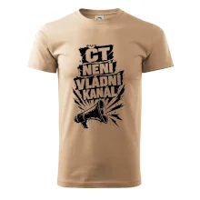 ČT není vládní kánál