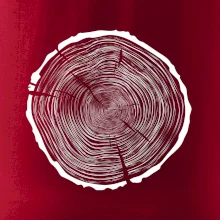 Letokruhy 85 bez věku