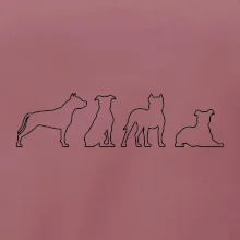 Americký stafordširský teriér v různých pozicích