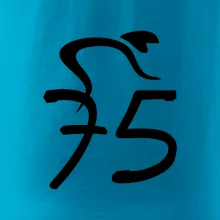 Cyklista slaví pětasedmdesátku (75)