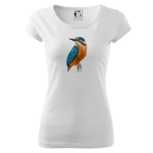 Lednáček kreslený