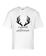 Harry - Expecto patronum