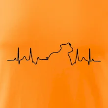 Stafordšírsky bulteriér EKG