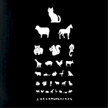 Oční test zvířatka