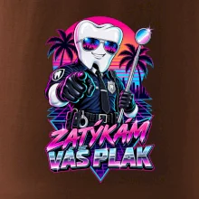 Zatýkám váš plak