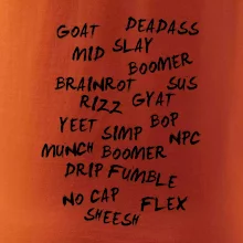 Generace Z - Gen Z slovník