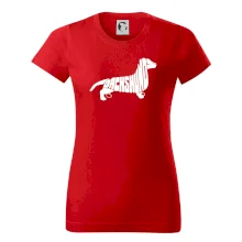 Jezevčík - Dachshund