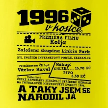 1996 v kostce