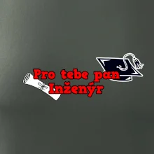 Pro tebe pan Inženýr