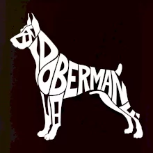 Doberman - nápis v tělě