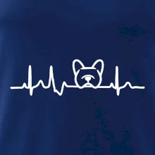 EKG Francouzský buldoček hlava