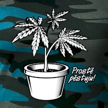 Konopi prostě pěstuju