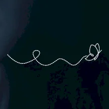 Dráha letu motýla - vlnovka