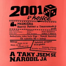 2001 v kostce