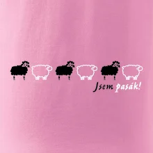 Jsem pasák - ovce v řadě