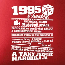 1995 v kostce