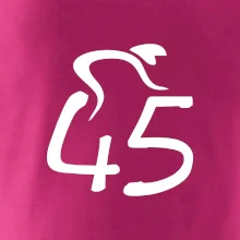 Cyklista slaví pětačtyřicítku (45)