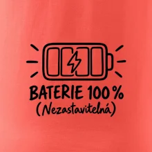 Máma a dítě baterie 100%