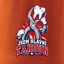 Jsem hlavní tahoun