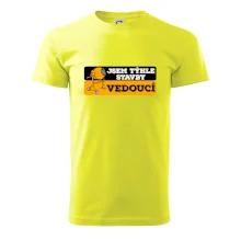 Jsem týhle stavby vedoucí