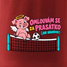 Nohejbalové prasátko na síti